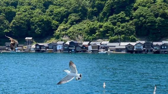 【京都周邊】天橋立－伊根船屋－美山茅草屋一日遊【中文司機】