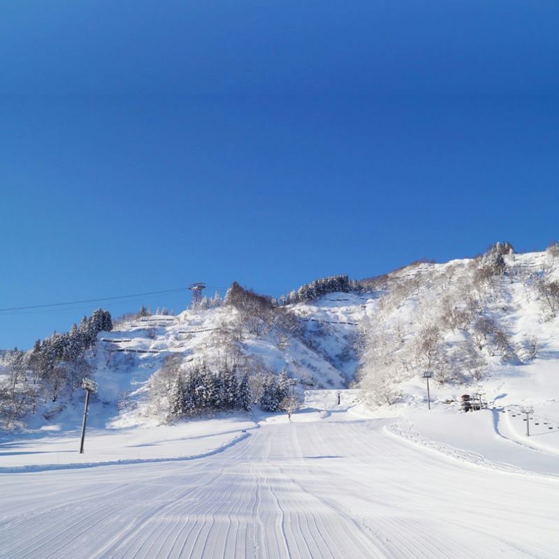 1-day tour to Kobe Mt. Rokkō Snow Park for snow play and skiing with optional Arima Onsen hot spring package including tickets