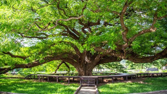 北碧府精華一日遊【中文導遊+來回接駁】