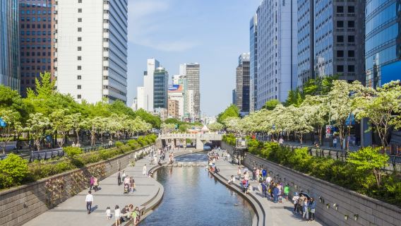 서울 레트로 데이: 빈티지 마켓에서 매콤한 길거리 음식까지