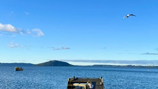 Lawatan sehari ke Tasik Rotorua, Taman Perbandaran, Ladang Agrodome dan Kampung Budaya Maori di New Zealand