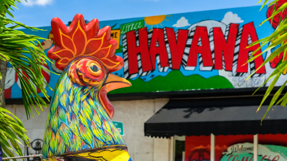 美國邁阿密|設計區+温尼伍德牆+維茲卡亞博物館花園+小哈瓦那