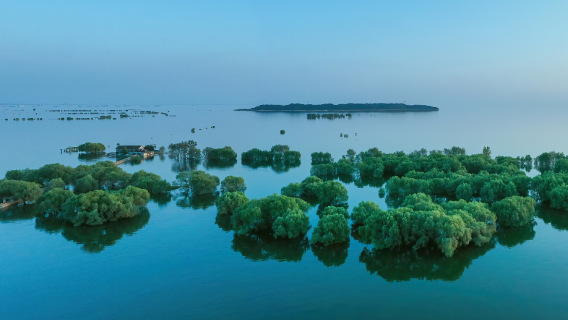 岳陽樓＋洞庭湖一日包車遊 【長沙出發】