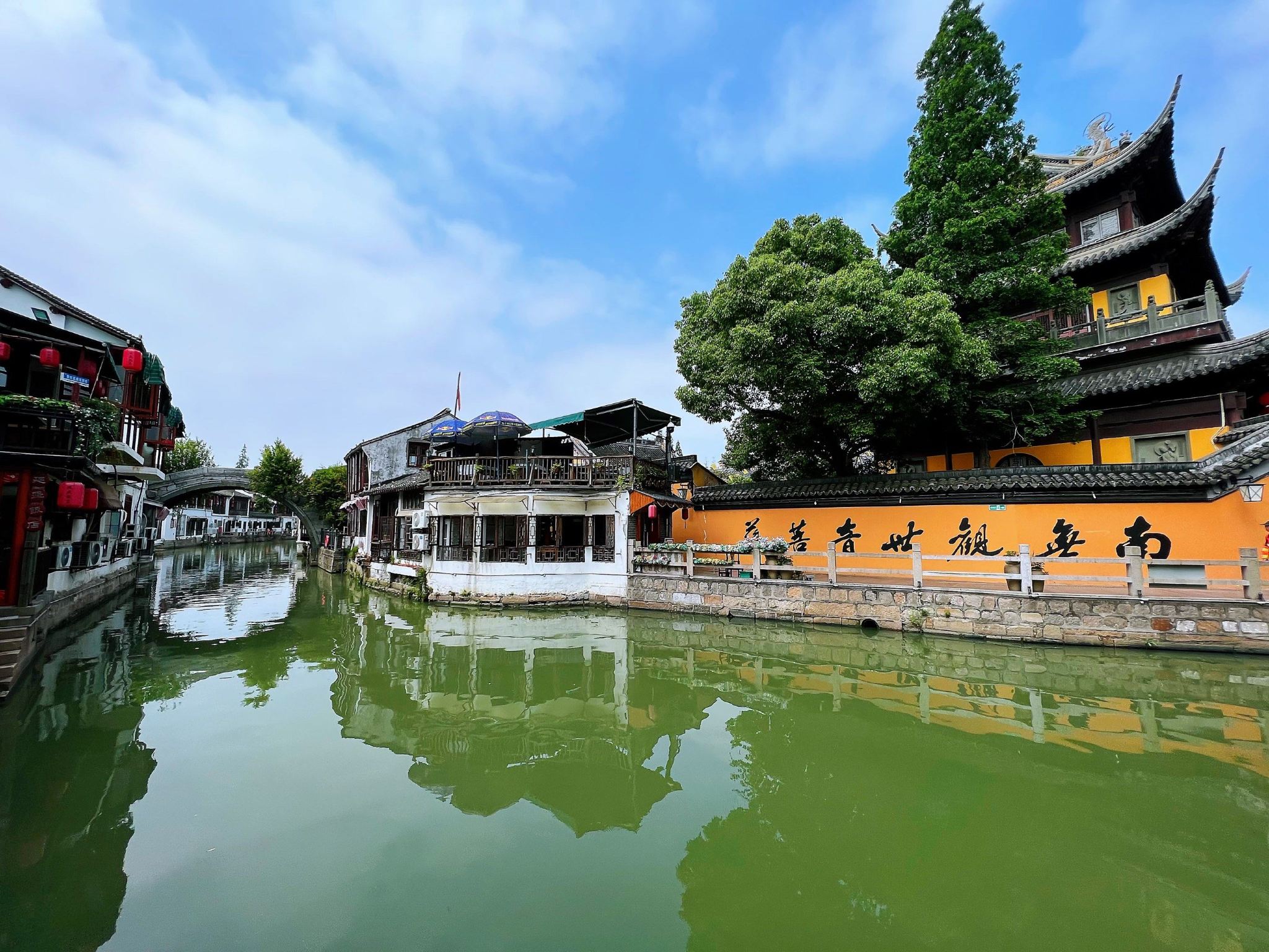 Zakelijke auto | Optionele Engelssprekende gids | 1 dag Zhujiajiao + Lujiazui + Fuxing Park