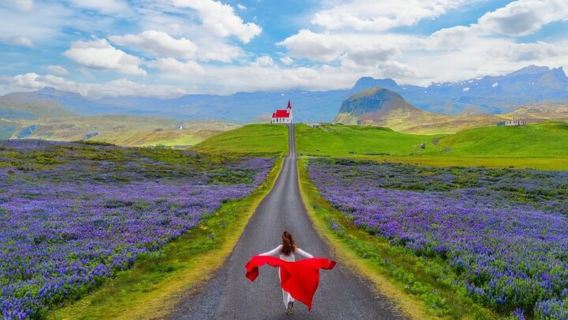 冰島斯奈山半島中文一日遊：測視力紅房子+白日夢小鎮+海豹沙灘