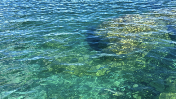 紐西蘭奧克蘭-教堂灣-哈嘿-可訂製【中文專車-愜意舒適】