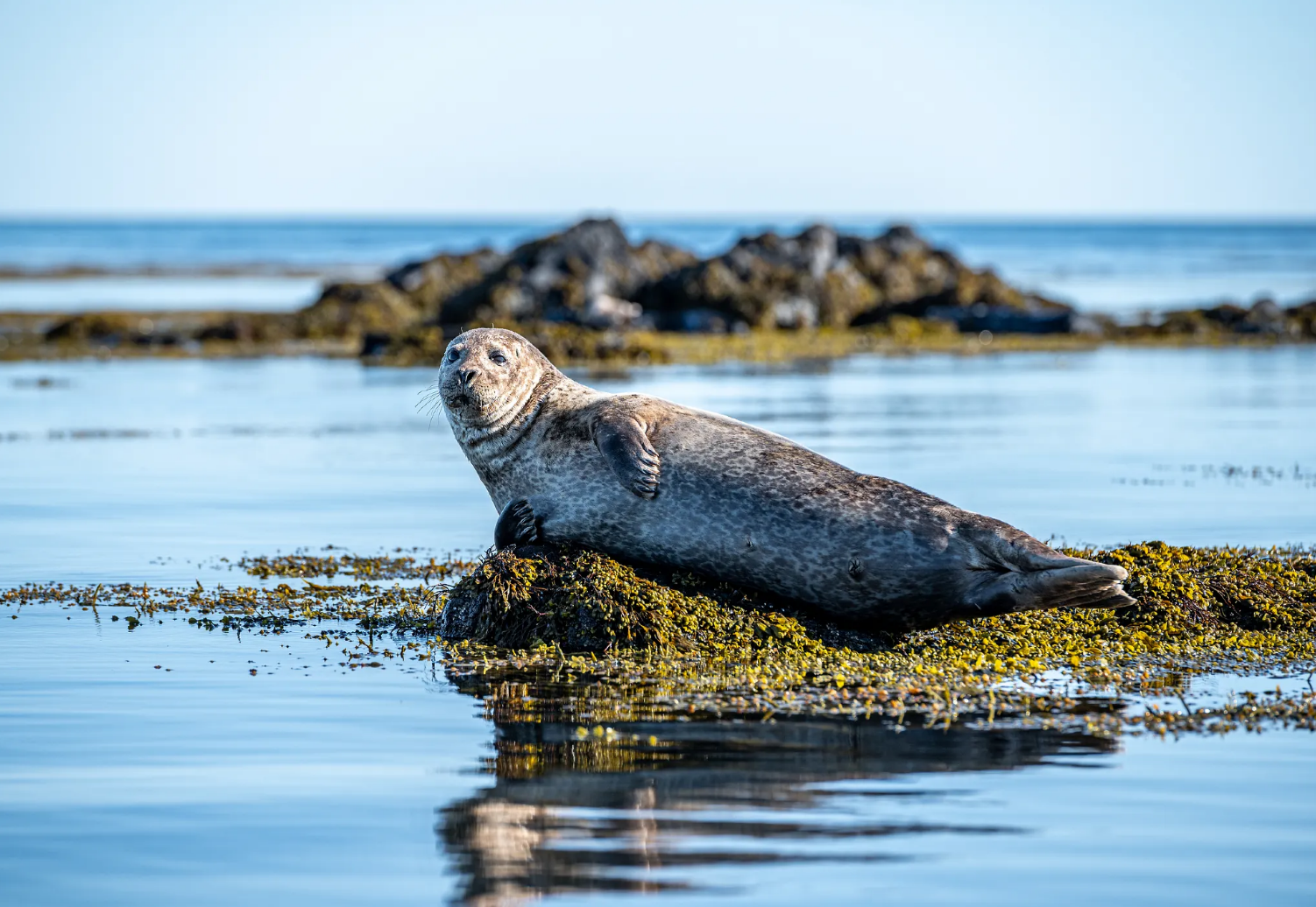 冰島斯奈山半島與基爾丘山一日遊（中文司機包車）