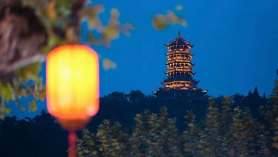 Chengdu Giant Panda Breeding Base + Dujiangyan [10H Private Charter / Adjustable Itinerary / English Guide]