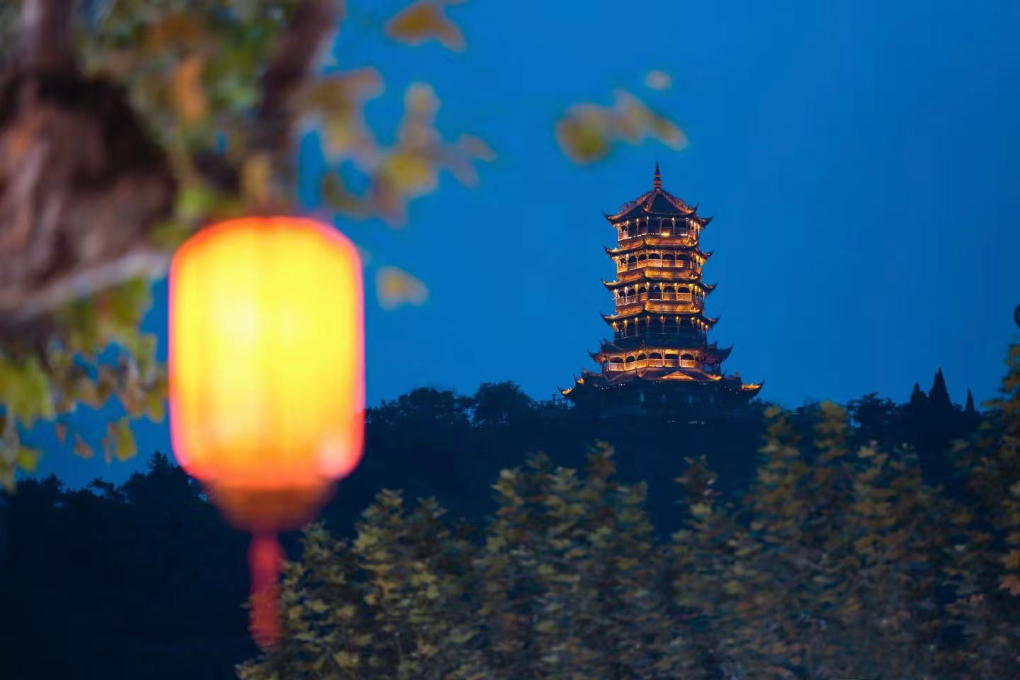 Base di riproduzione dei panda giganti di Chengdu + Dujiangyan [10 ore di noleggio con conducente esclusivo/itinerario regolabile/guida in inglese]