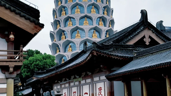 Changzhou Yancheng Wildlife Park + Baolin Temple 1-day tour