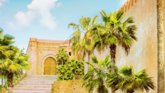 โมร็อกโก · ราบัต|กำหนดการท่องเที่ยว/บริการรับส่ง/บริการรถยนต์แบบจุดต่อจุด