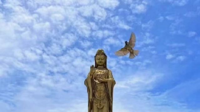 南海觀音+普濟禪寺+普陀山西天景區+普陀山風景區一日遊【祈願禪行】