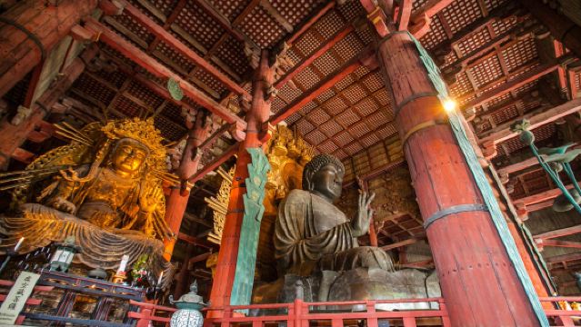 Excursión de medio día en Nara | Alimenta a los adorables ciervos en el Parque de Nara, visita el Santuario Kasuga Taisha y el Templo Tōdai-ji, incluye auténtico almuerzo