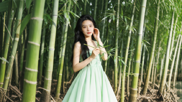 Private Tour: Chongqing + Yongchuan Tea Mountain and Bamboo Forest + Songgai Ancient Town Private Charter Day Tour with Door-to-Door Pickup