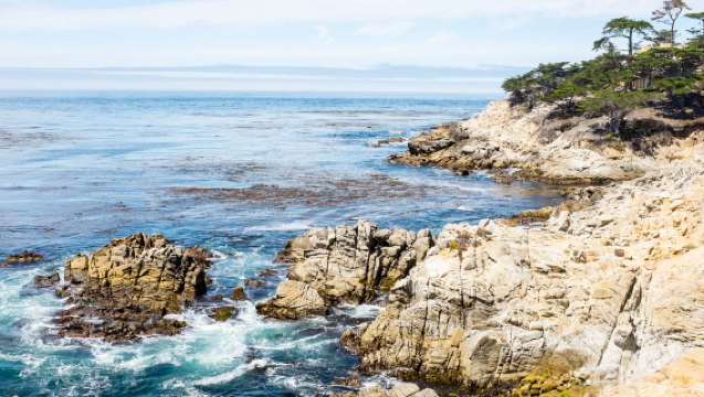 San Francisco 1-day tour with private charter along highway 1, 17-mile drive and Monterey Bay