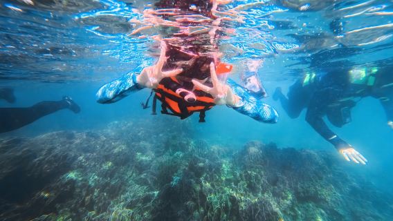 Passeio de snorkeling da Splitdyboat em Hong Kong na parte oeste da Ilha Kiu Tsui