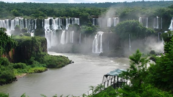 Halvdagsutflykt till Iguazú nationalpark (Brasilianska sidan av fallen*Avgång från Iguazú) Utländsk gruppresande&