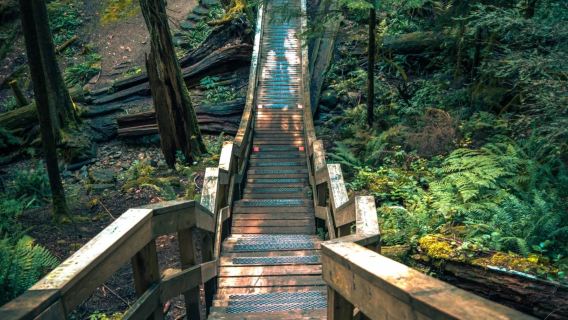 Lawatan Sehari Sewaan Peribadi Vancouver Deep Cove | Berjalan Sambil Menikmati Pemandangan Laut + Aktiviti Air Pengalaman Mendalam