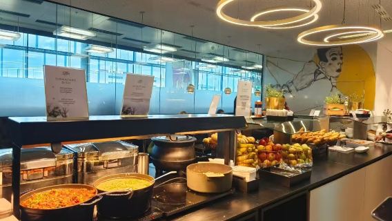 Phòng chờ VIP tại Sân bay quốc tế Wien (VIE) (Nghỉ quá cảnh + Không gian yên tĩnh riêng tư VIP + Môi trường thoải mái)