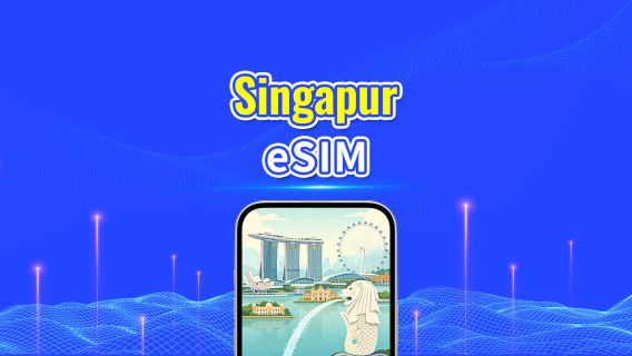 Singapur 4G eSIM | Duales Netz | Tägliches/Gesamt-Datenpaket | 1–30 Tage | 24-Stunden-Abrechnung | QR-Code