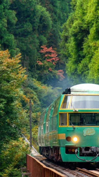 A day trip to Kyushu for autumn foliage viewing, Beppu Hell, Yufuin, and Dazaifu, including the Yufuin no Mori train.