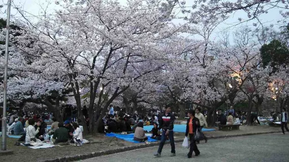 Tokushima Highlights Audio Tour: Cultural Heritage and Riverside Views