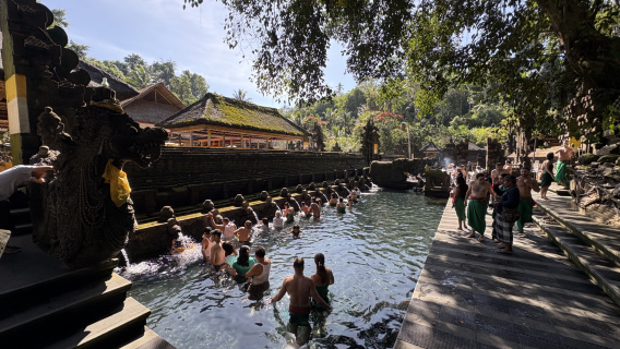 Ganztägige Ubud, Wasserfall & Wassertempel Privatgruppe