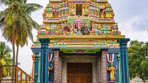 Explore Offbeat Bangalore with a Local