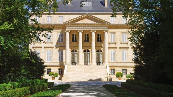 From Bordeaux: Medoc Half-Day Wine Tour