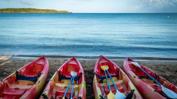 Fajardo: 3-Hour Guided Kayak & Snorkeling Tour