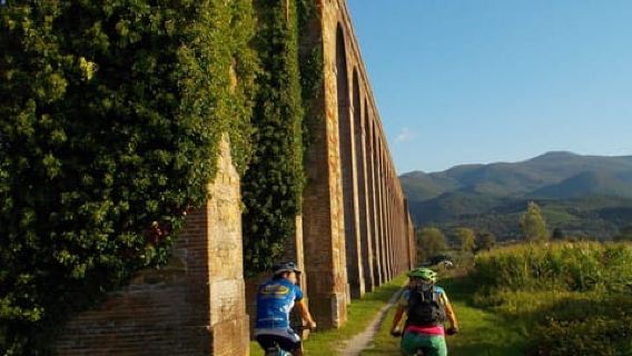 Bike Self-Tour in the Lucca Countryside and Green Landscapes