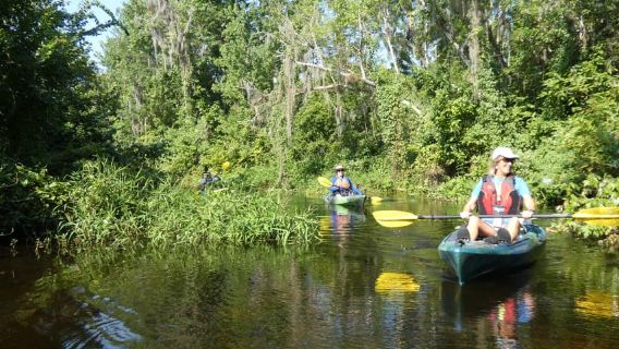 Orlando: Small Group Scenic Wekiva River Kayak Tour