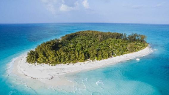 姆文巴海豚與浮潛：從馬特維、普瓦尼、昆瓜、烏羅阿出發