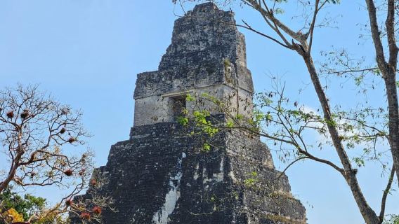 Tikal dari Hotel Camino Real El Remate - All Inclusive