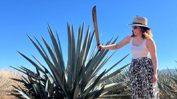 Premium Tequila Route with professional tasting and pairing