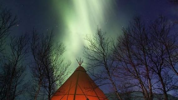 Kiruna: Northern Light Short Husky Tour with Coffee