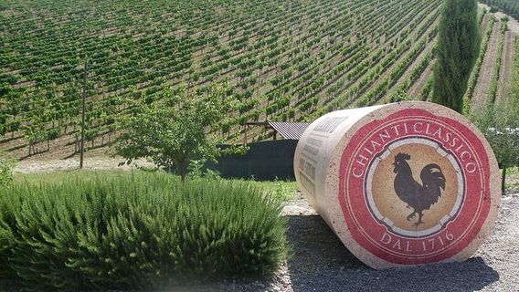 Magliano in ToscanaTours