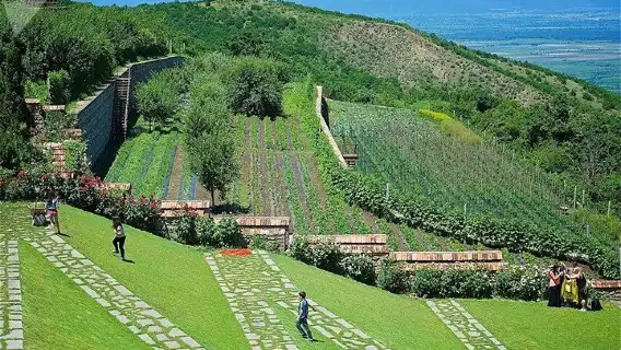 Kakheti: Sighnaghi city. Bodbe, Corporation Kindzmarauli. Telavi.