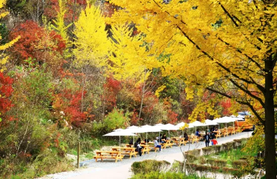 (10小時)韓國江原道路線2包車|束草江陵襄陽 /首爾出發