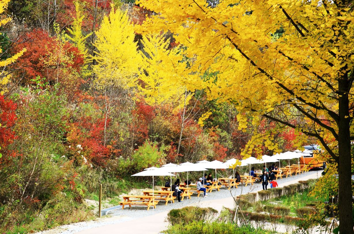 (10小時)韓國江原道路線2包車|束草江陵襄陽 /首爾出發
