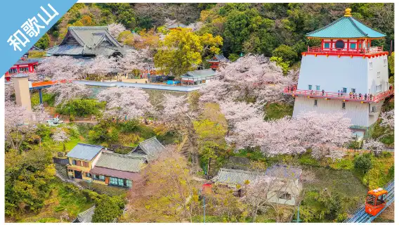 和歌山城市通票|Have Fun in Wakayama|和歌山樂享周遊券 1 Week Free Pass