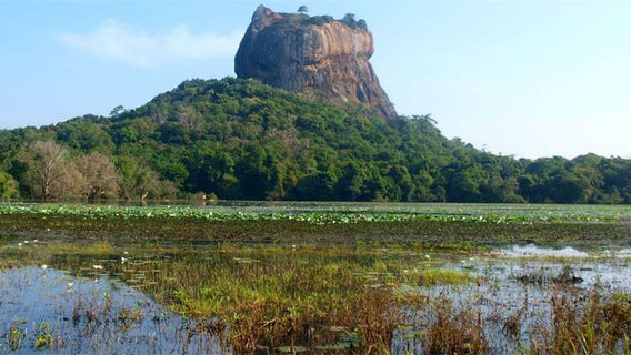 Colombo