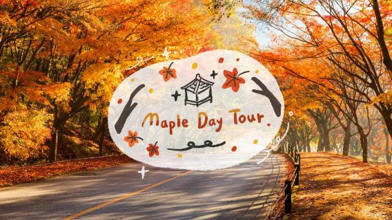 SeoulTours