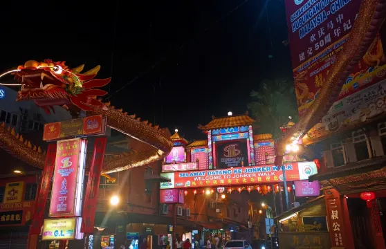 馬六甲夜間遊連河流遊船及三輪車體驗——共享或獨立包團選項