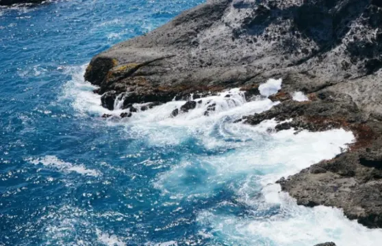 日本伊豆+戀人岬ホーム一日遊【打卡南伊豆龍宮窟//中文包車】