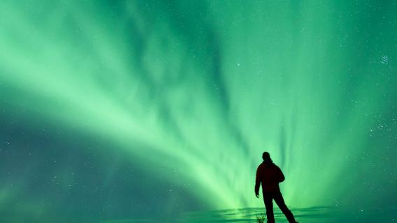 Northern Lights: 3-Hr Small Group Bus Tour + Transfer