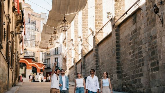 マドリード発 セゴビア、アビラ＆トレド：ガイド付きツアー