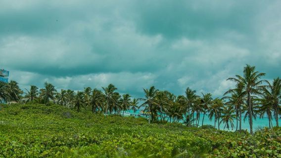 Isla Contoy & Isla Soones: Chuyến tham quan bằng thuyền và ống thở từ Cancún