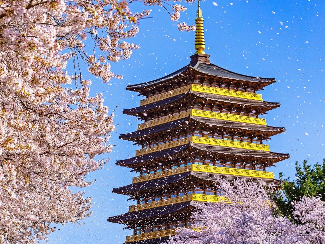 Gyeongju Cherry Blossom One Day Tour (From Busan, Spring Special 2~3 Random Spots)