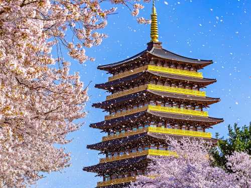 慶州櫻花限定一日遊 (釜山出發, 2~3個隨機特選春季景點)